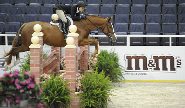 WIHS-10-21-09-DSC_1283-Quintessential-WinnAlden-Sponsors-M-M-DDeRosaPhoto.jpg