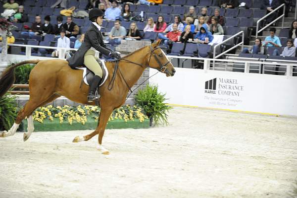 WIHS-10-20-09-DSC_0559-What'dISay-Sponsors-Markel-DDeRosaPhoto.jpg