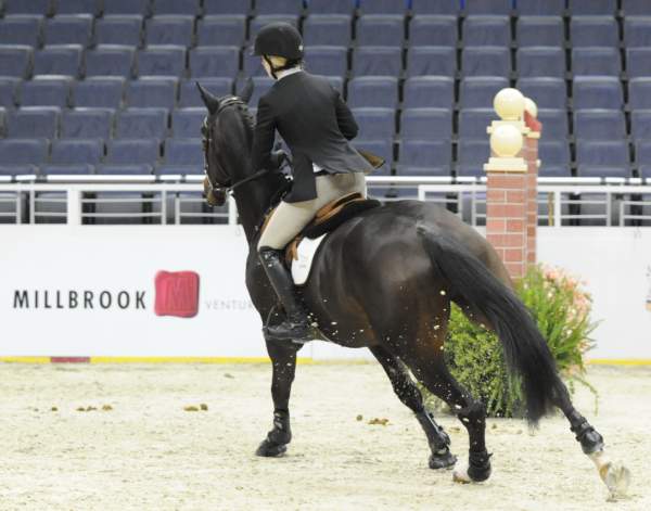 WIHS-10-22-09-DSC_6003-Talent-LucyBlundon-JrJpr-Sponsors-Millbrook-DDeRosaPhoto.jpg