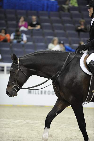WIHS-10-24-10-Cl250HtrDrby-DER_8418-Declaration-ScottStewart-Sponsors-Millbrook-DDeRosaPhoto.jpg