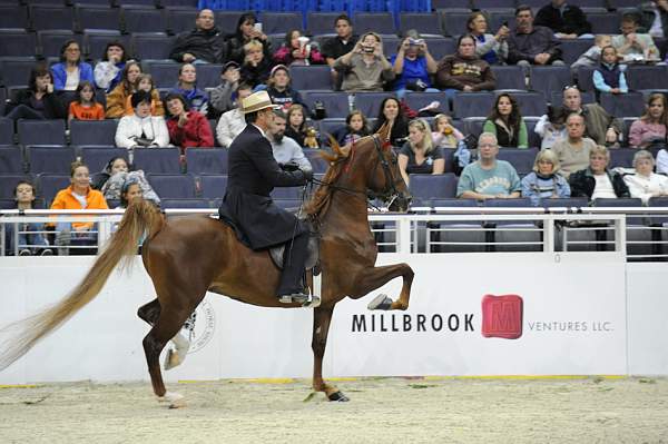 WIHS-10-25-09-DSC_3455-WOH-BillShiflet-Sponsors-Millbrook-DDeRosaPhoto.jpg