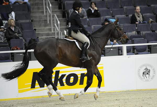 WIHS-10-23-09-LgJrHtr15U-DSC_7589-Bishonen-SamanthaSchaefer-Sponsors-Nikon-DDeRosaPhoto.jpg