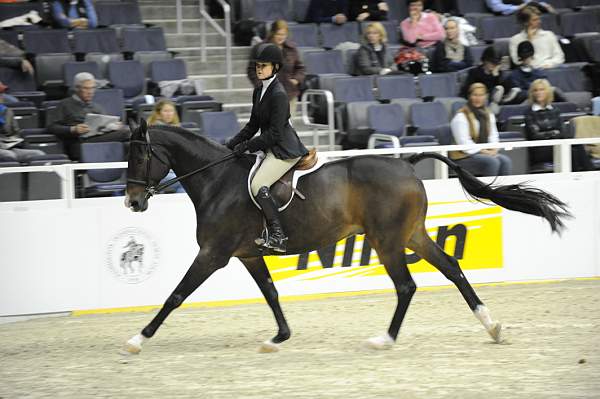 WIHS-10-23-10-WIHSJrEqHtr-DSC_8201-Prosecco24-PaulenaJohnson-Sponsors-Nikon-DDeRosaPhoto.jpg