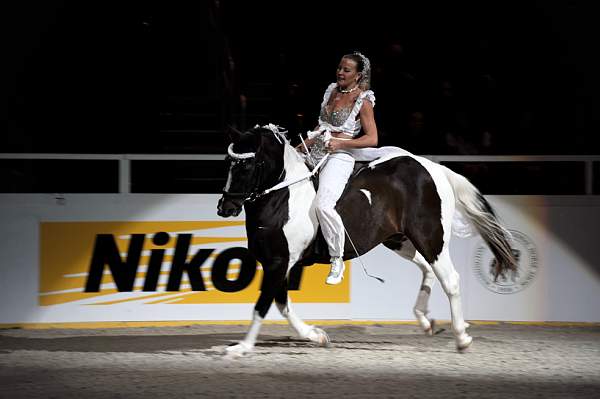 WIHS-10-24-10-DSC_0515-Chiffon-Sponsors-Nikon-DDeRosaPhoto.jpg