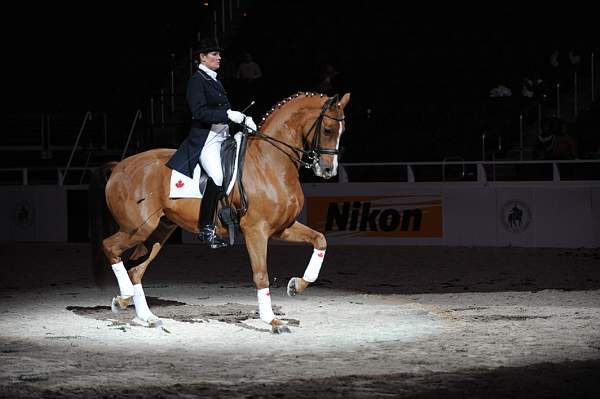 WIHS-10-25-09-DSC_3969-AshleyHolzer-PopArt-Sponsors-Nikon-DDeRosaPhoto.jpg