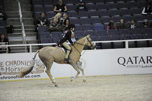 WIHS-10-25-09-DSC_2090-Sponsors-Qatar-DDeRosaPhoto.jpg