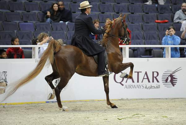 WIHS-10-25-09-DSC_3458-WOH-BillShiflet-Sponsors-Qatar-DDeRosaPhoto.jpg