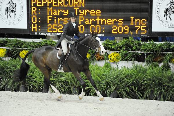 WIHS-10-20-09-DSC_1134-Peppercorn-MaryTyree-DDeRosaPhoto.jpg