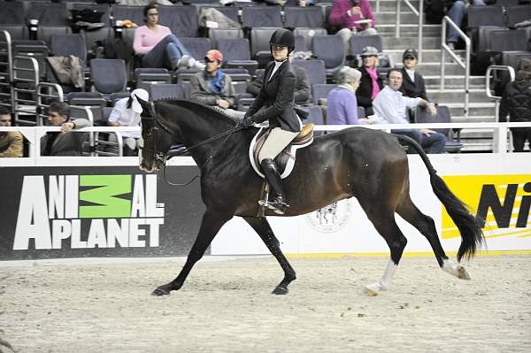 WIHS-10-23-09-WIHSJrEqHtr-DSC_8330-CommonSense-HayleyBarnhill-DDeRosaPhoto.jpg