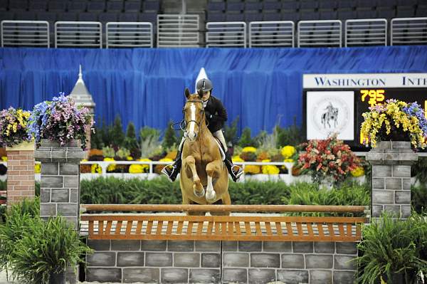 WIHS-10-23-09-WIHSJrEqHtr-DSC_8368-Sundance-TaylorMarieHarris-DDeRosaPhoto.jpg