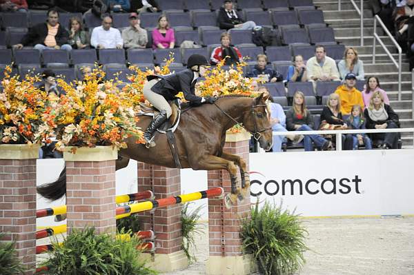 WIHS-10-24-10-Cl182-WIHSJrEqJpr-DSC_0295-Patrick-LucyDavis-DDeRosaPhoto.jpg