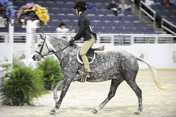 WIHS-10-24-09-Cl185WIHSPnyEqFinals-DER_8244-HighlandsBridgetJones-AveryFinkel-DDeRosaPhoto.jpg