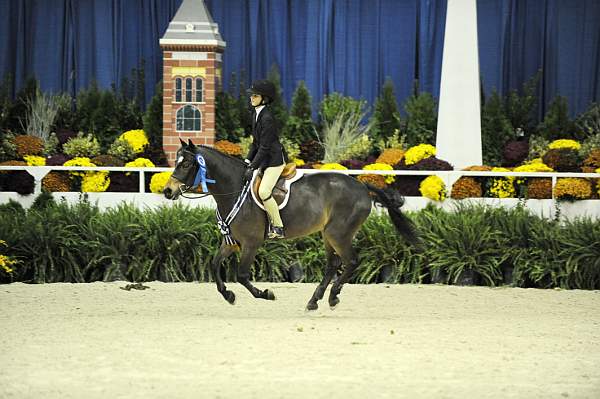 WIHS-10-24-09-Cl185WIHSPnyEqFinals-DER_8352-Tango-MadelynKeck-DDeRosaPhoto.jpg