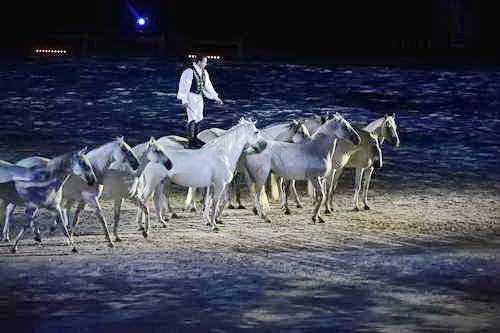 WEG-8-23-14-OpenCeremony-0003236-DDeRosaPhoto