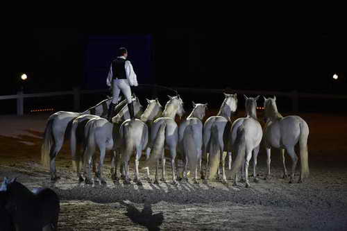 WEG-8-23-14-OpenCeremony-0003267-DDeRosaPhoto