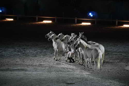 WEG-8-23-14-OpenCeremony-0003328-DDeRosaPhoto