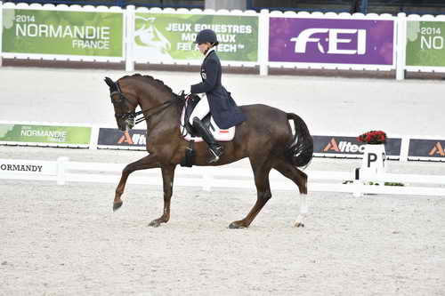 WEG-Dressage-8-25-14-GPTeam-0003673-KarinKosak-Lucy'sDay-AUT-DDeRosaPhoto