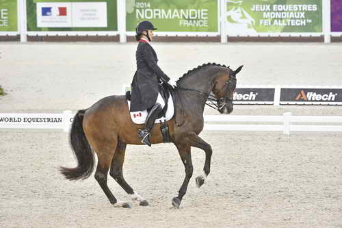 WEG-Dressage-8-25-14-GPTeam-0003805-KarenPavicic-DonDaiquiri-CAN-DDeRosaPhoto