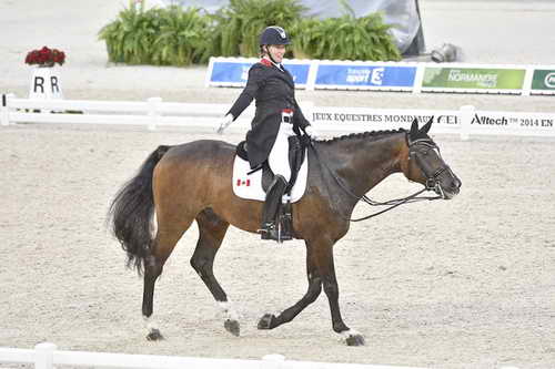 WEG-Dressage-8-25-14-GPTeam-0003817-KarenPavicic-DonDaiquiri-CAN-DDeRosaPhoto