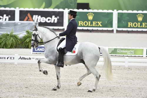 WEG-Dressage-8-25-14-GPTeam-0004210-ManuelVeiga-BenHurDaBroa-POR-DDeRosaPhoto