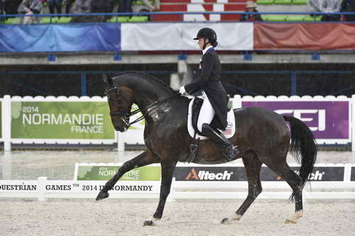 WEG-Dressage-8-25-14-GPTeam-0006030-AdrienneLyle-Wizard-USA-DDeRosaPhoto