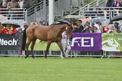 WEG1-EnduranceJog-8-27-14-0000567-DDeRosaPhoto