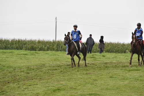WEG-EnduranceRace-8-28-14-0001243-DDeRosaPhoto