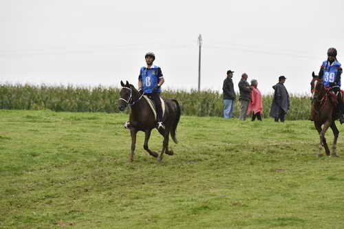 WEG-EnduranceRace-8-28-14-0001244-DDeRosaPhoto