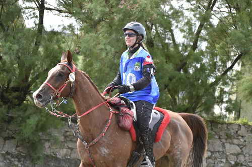 WEG-EnduranceRace-8-28-14-0002892-DDeRosaPhoto