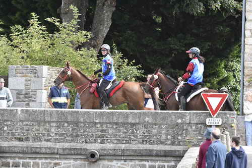 WEG-EnduranceRace-8-28-14-0002904-DDeRosaPhoto