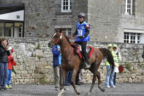 WEG-EnduranceRace-8-28-14-0002948-DDeRosaPhoto