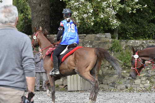 WEG-EnduranceRace-8-28-14-0002964-DDeRosaPhoto
