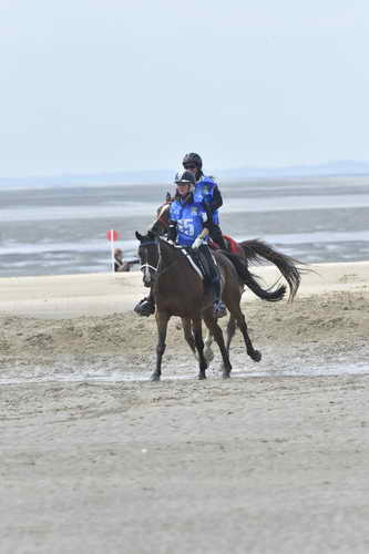 WEG-EnduranceRace-8-28-14-0004243-DDeRosaPhoto