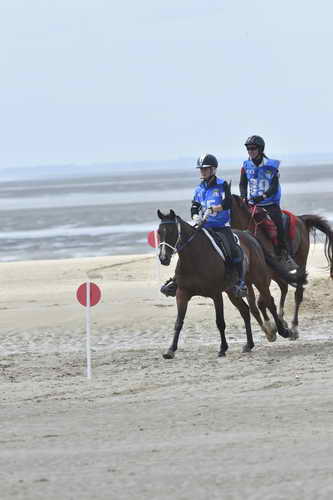 WEG-EnduranceRace-8-28-14-0004245-DDeRosaPhoto