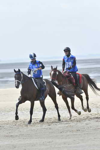 WEG-EnduranceRace-8-28-14-0004250-DDeRosaPhoto