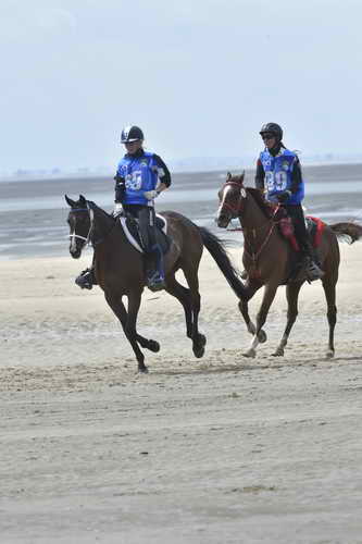WEG-EnduranceRace-8-28-14-0004253-DDeRosaPhoto
