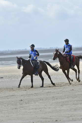 WEG-EnduranceRace-8-28-14-0004257-DDeRosaPhoto