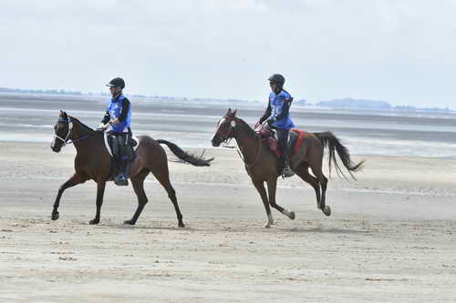 WEG-EnduranceRace-8-28-14-0004261-DDeRosaPhoto
