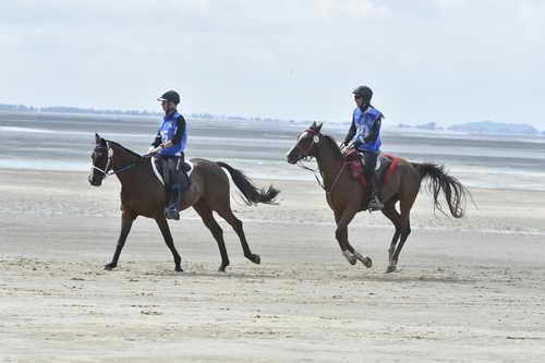 WEG-EnduranceRace-8-28-14-0004262-DDeRosaPhoto