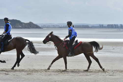 WEG-EnduranceRace-8-28-14-0004275-DDeRosaPhoto