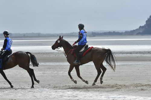 WEG-EnduranceRace-8-28-14-0004285-DDeRosaPhoto