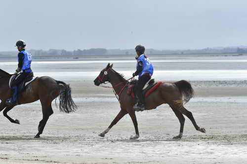 WEG-EnduranceRace-8-28-14-0004287-DDeRosaPhoto