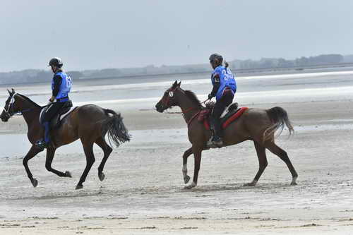 WEG-EnduranceRace-8-28-14-0004290-DDeRosaPhoto