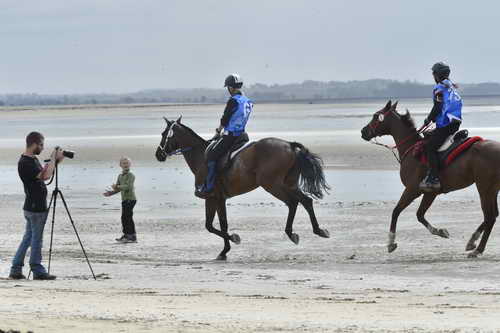 WEG-EnduranceRace-8-28-14-0004291-DDeRosaPhoto