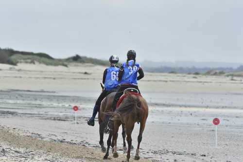 WEG-EnduranceRace-8-28-14-0004296-DDeRosaPhoto