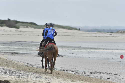 WEG-EnduranceRace-8-28-14-0004299-DDeRosaPhoto