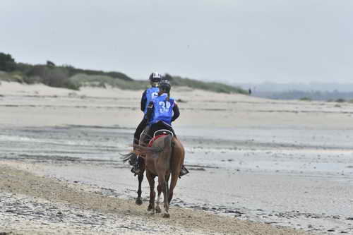 WEG-EnduranceRace-8-28-14-0004300-DDeRosaPhoto