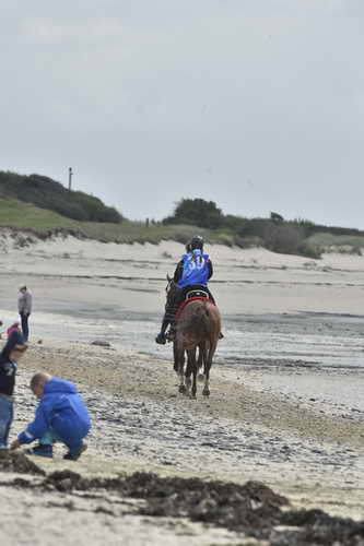 WEG-EnduranceRace-8-28-14-0004301-DDeRosaPhoto