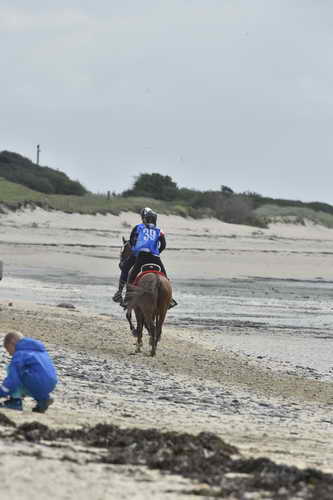 WEG-EnduranceRace-8-28-14-0004302-DDeRosaPhoto