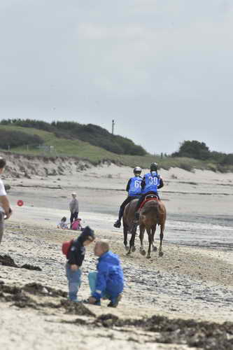 WEG-EnduranceRace-8-28-14-0004303-DDeRosaPhoto